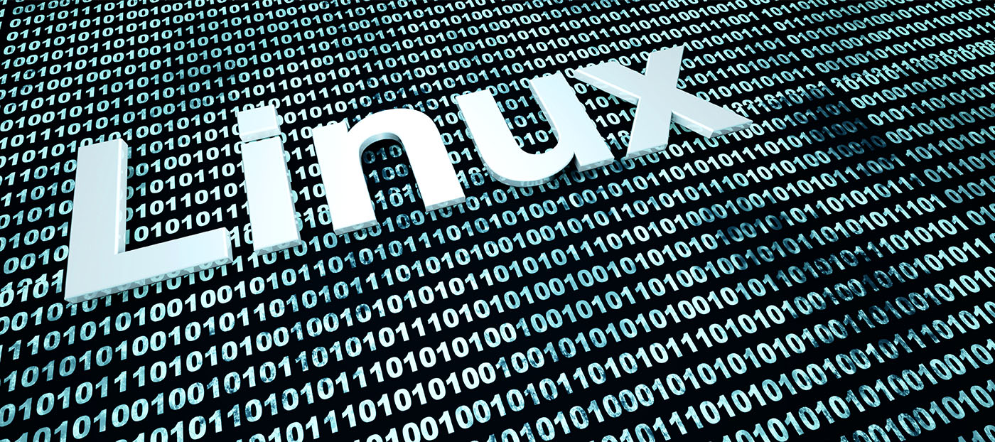 em destaque se encontra o escrito "Linux" com o fundo de códigos de numeração binária